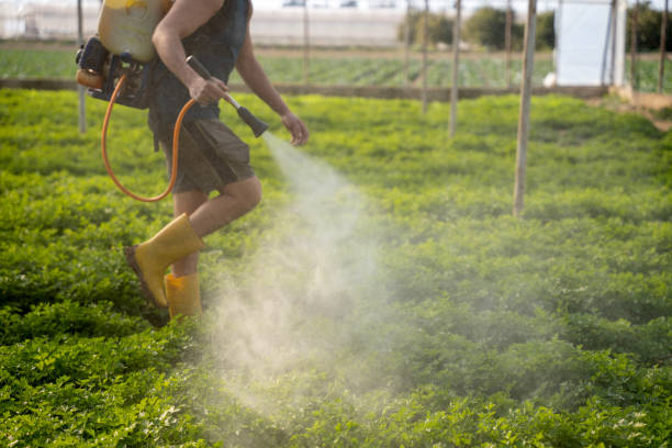 Best Affordable Pest Control Services  in Mountville, PA