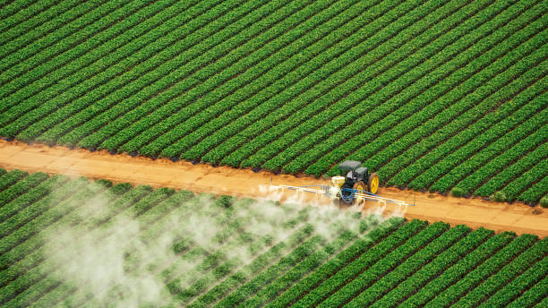 Best Commercial Pest Control Services  in Mountville, PA