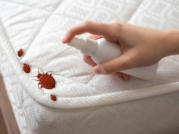 Best Pest Control for Restaurants  in Mountville, PA